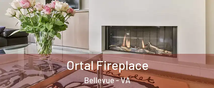 Ortal Fireplace Bellevue - VA
