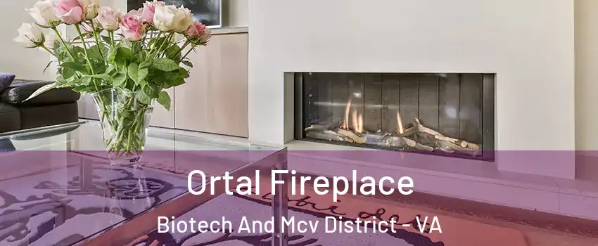 Ortal Fireplace Biotech And Mcv District - VA