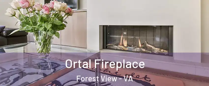 Ortal Fireplace Forest View - VA
