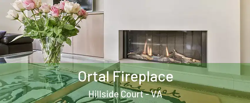 Ortal Fireplace Hillside Court - VA