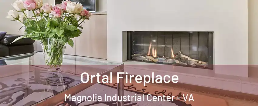 Ortal Fireplace Magnolia Industrial Center - VA