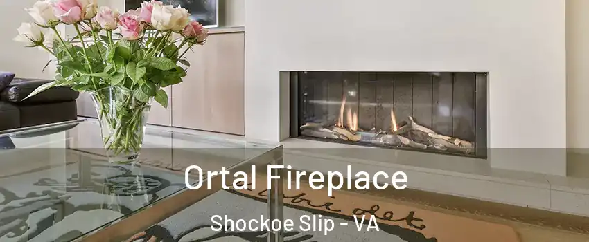 Ortal Fireplace Shockoe Slip - VA