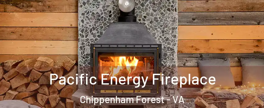 Pacific Energy Fireplace Chippenham Forest - VA