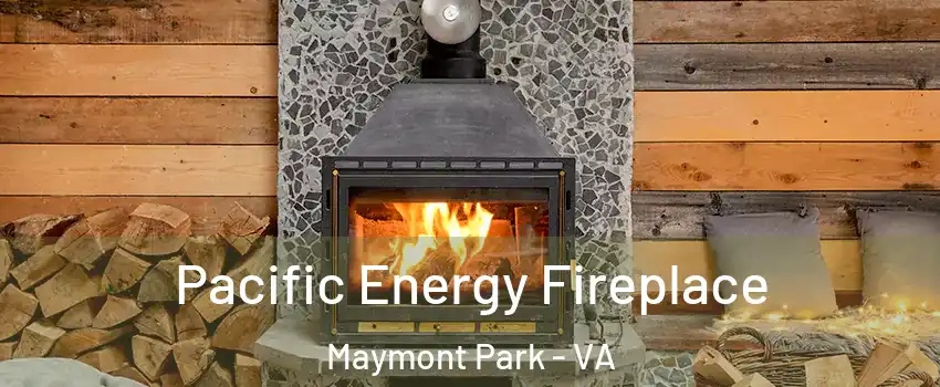 Pacific Energy Fireplace Maymont Park - VA