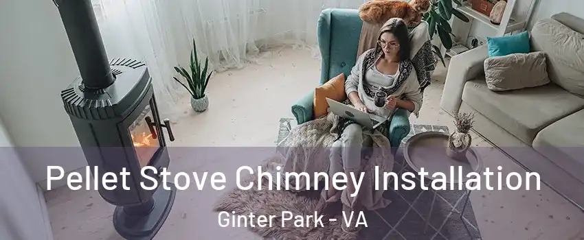 Pellet Stove Chimney Installation Ginter Park - VA