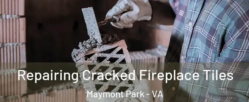 Repairing Cracked Fireplace Tiles Maymont Park - VA