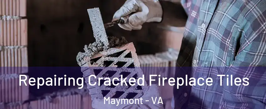 Repairing Cracked Fireplace Tiles Maymont - VA