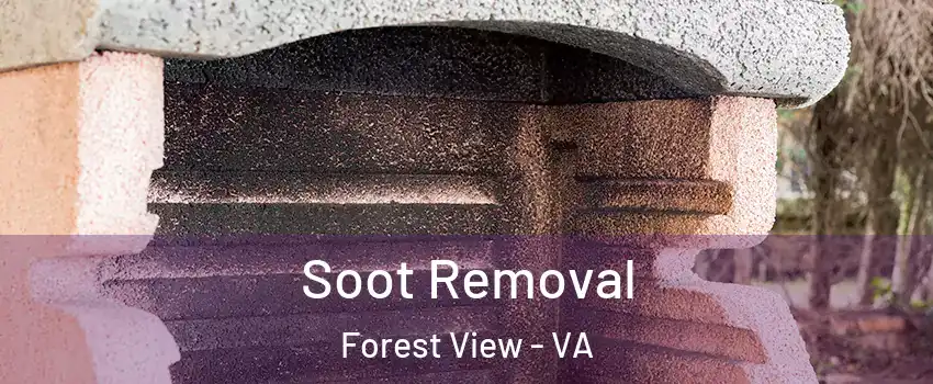 Soot Removal Forest View - VA