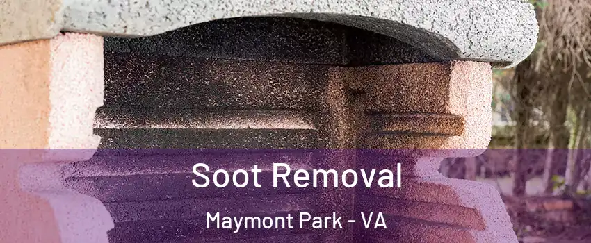 Soot Removal Maymont Park - VA