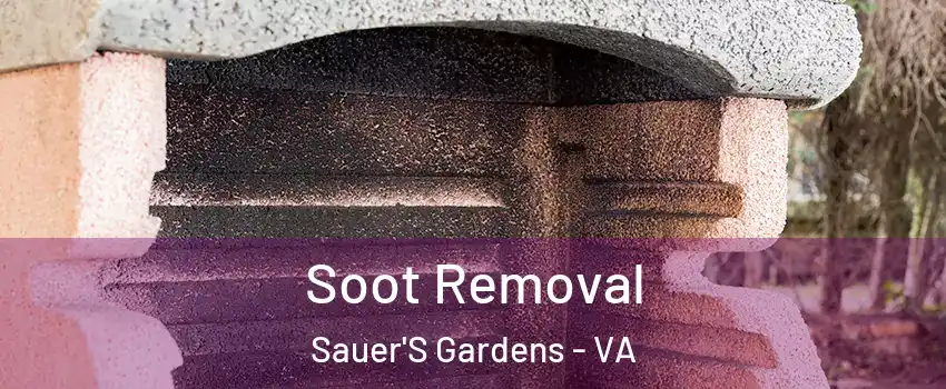 Soot Removal Sauer'S Gardens - VA