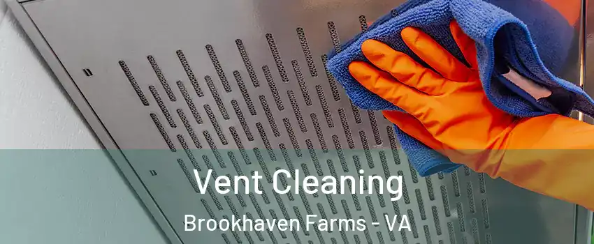 Vent Cleaning Brookhaven Farms - VA