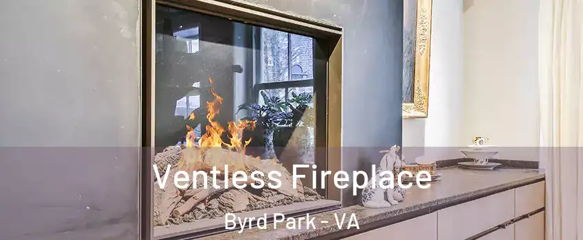 Ventless Fireplace Byrd Park - VA