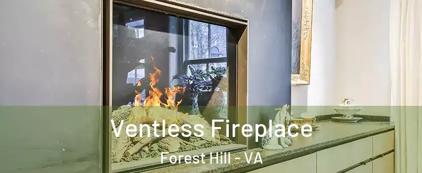 Ventless Fireplace Forest Hill - VA