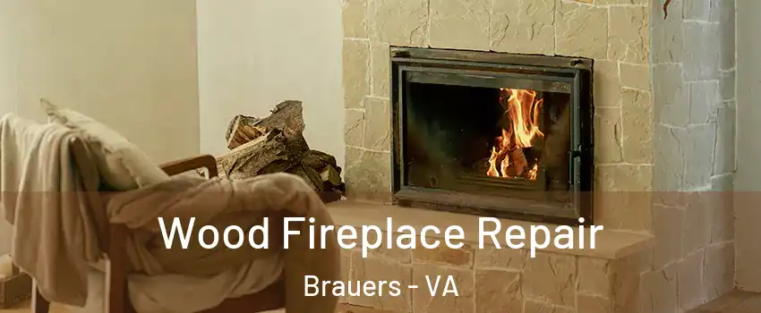 Wood Fireplace Repair Brauers - VA