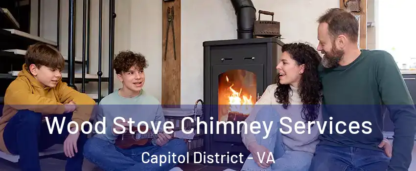 Wood Stove Chimney Services Capitol District - VA