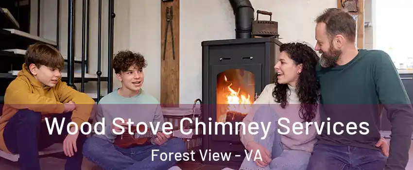 Wood Stove Chimney Services Forest View - VA