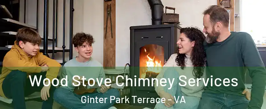 Wood Stove Chimney Services Ginter Park Terrace - VA