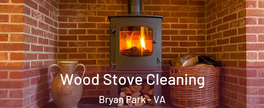 Wood Stove Cleaning Bryan Park - VA