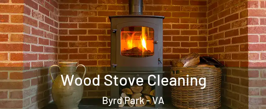 Wood Stove Cleaning Byrd Park - VA
