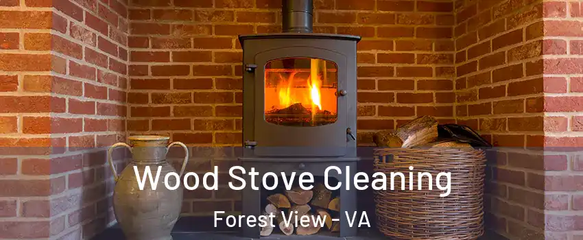 Wood Stove Cleaning Forest View - VA