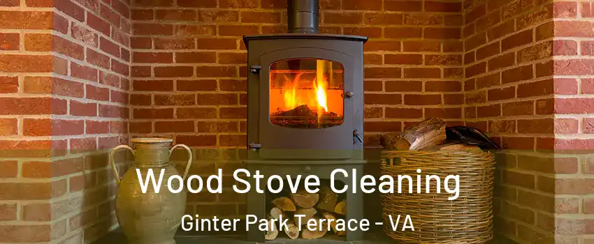 Wood Stove Cleaning Ginter Park Terrace - VA