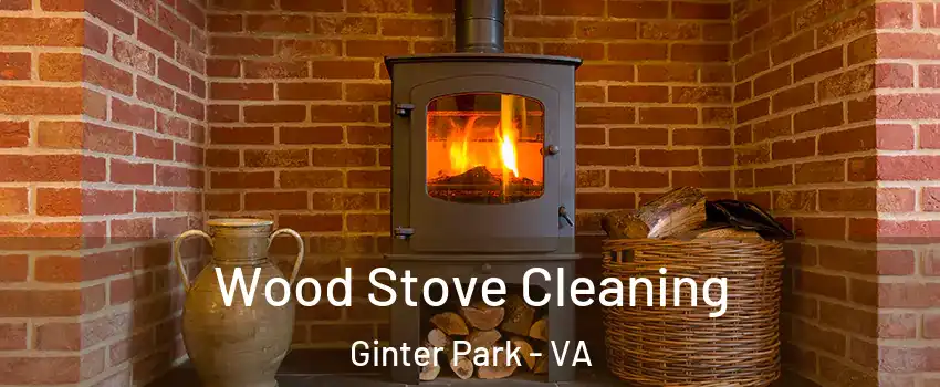 Wood Stove Cleaning Ginter Park - VA