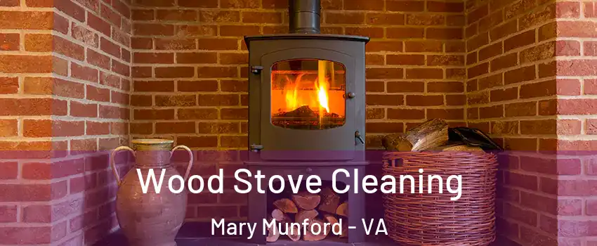 Wood Stove Cleaning Mary Munford - VA