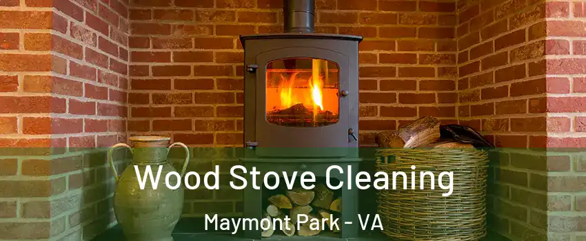 Wood Stove Cleaning Maymont Park - VA