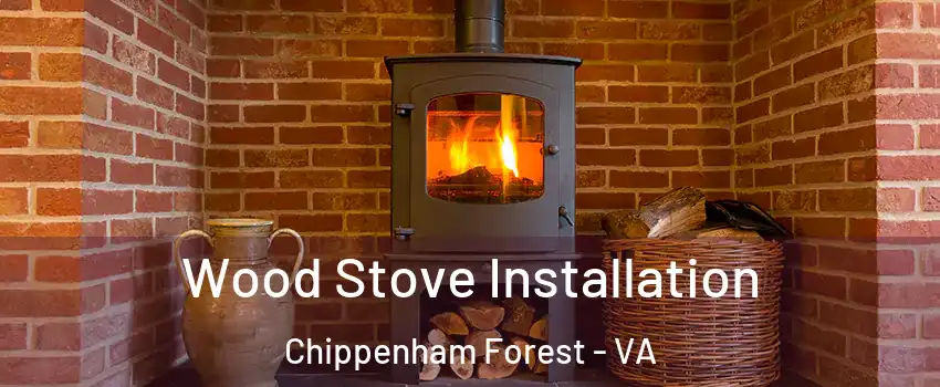 Wood Stove Installation Chippenham Forest - VA