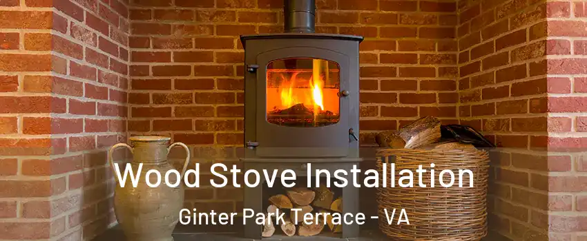 Wood Stove Installation Ginter Park Terrace - VA