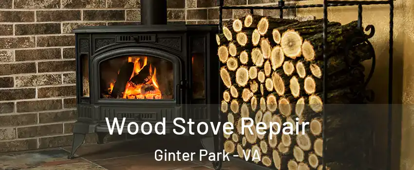 Wood Stove Repair Ginter Park - VA